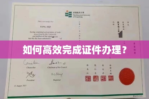 轮台如何高效完成证件办理？